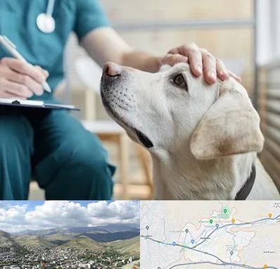 کلینیک دامپزشکی در رودهن