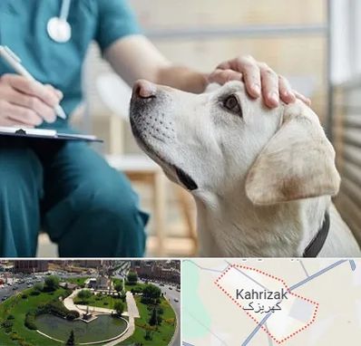کلینیک دامپزشکی در کهریزک