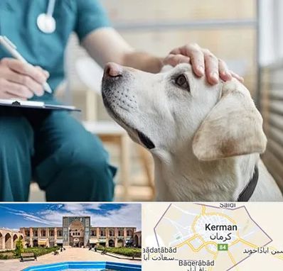 کلینیک دامپزشکی در کرمان