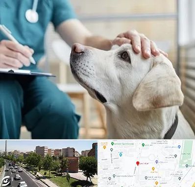 کلینیک دامپزشکی در شهرک آزمایش