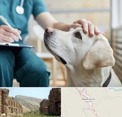 کلینیک دامپزشکی در مسجد سلیمان
