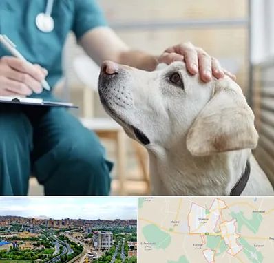 کلینیک دامپزشکی در شهریار