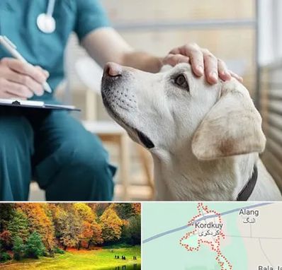 کلینیک دامپزشکی در کردکوی