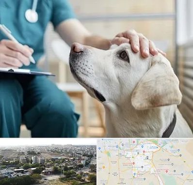 کلینیک دامپزشکی در منطقه 20 تهران