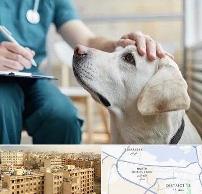 کلینیک دامپزشکی در جنوب غرب تهران