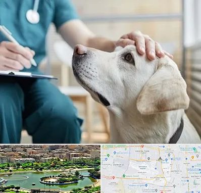 کلینیک دامپزشکی در منطقه 9 تهران