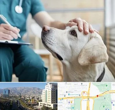 کلینیک دامپزشکی در حقانی