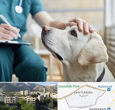 کلینیک دامپزشکی در اختیاریه