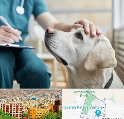 کلینیک دامپزشکی در نیاوران