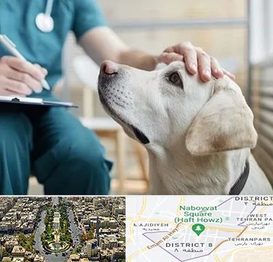 کلینیک دامپزشکی در نارمک