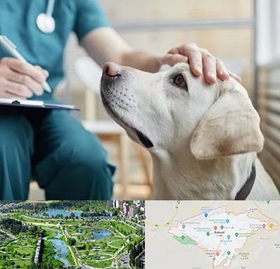 کلینیک دامپزشکی در بجنورد