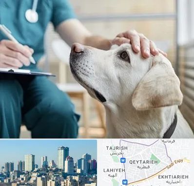 کلینیک دامپزشکی در قیطریه