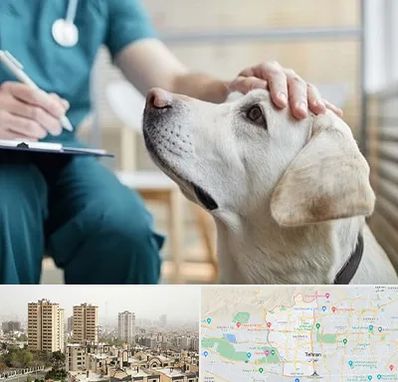 کلینیک دامپزشکی در منطقه 5 تهران