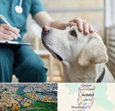 کلینیک دامپزشکی در اردبیل