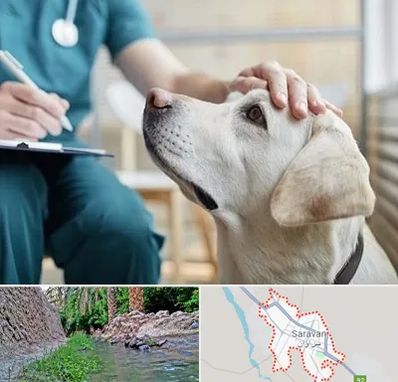 کلینیک دامپزشکی در سراوان