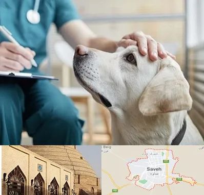 کلینیک دامپزشکی در ساوه