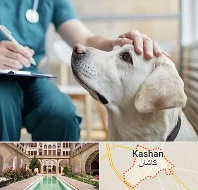 کلینیک دامپزشکی در کاشان