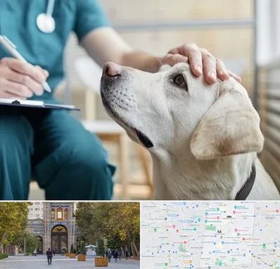 کلینیک دامپزشکی در منطقه 12 تهران