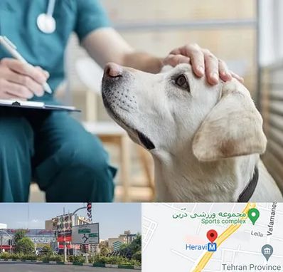کلینیک دامپزشکی در هروی