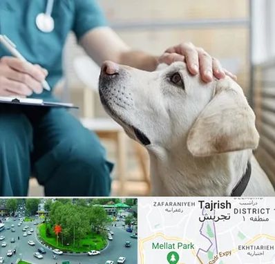 کلینیک دامپزشکی در تجریش