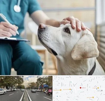 کلینیک دامپزشکی در دولت