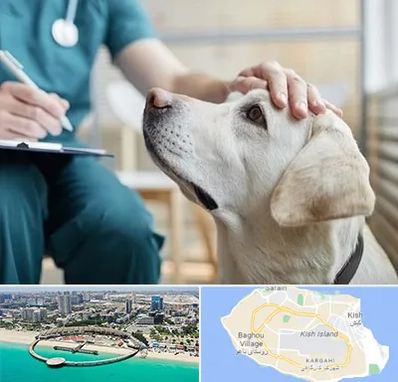 کلینیک دامپزشکی در کیش