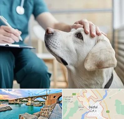 کلینیک دامپزشکی در دزفول