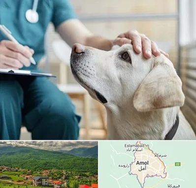 کلینیک دامپزشکی در آمل