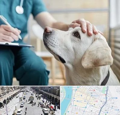 کلینیک دامپزشکی در نادری اهواز