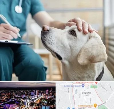 کلینیک دامپزشکی در گلسار رشت