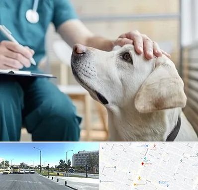 کلینیک دامپزشکی در بلوار کلاهدوز مشهد