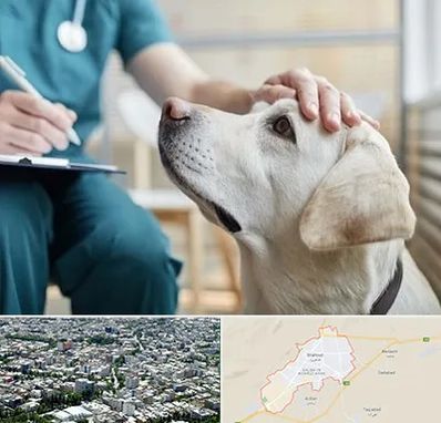 کلینیک دامپزشکی در شاهرود