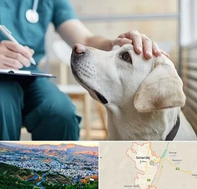 کلینیک دامپزشکی در سنندج