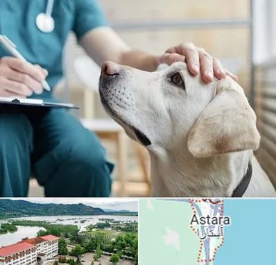 کلینیک دامپزشکی در آستارا