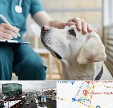 کلینیک دامپزشکی در اقدسیه