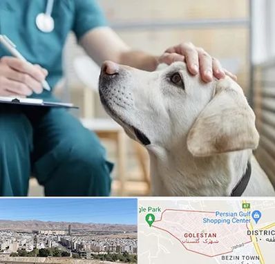 کلینیک دامپزشکی در شهرک گلستان شیراز