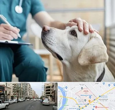 کلینیک دامپزشکی در زیتون کارمندی اهواز