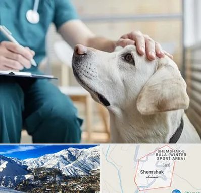 کلینیک دامپزشکی در شمشک