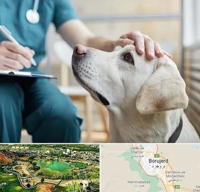 کلینیک دامپزشکی در بروجرد