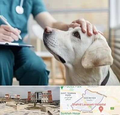 کلینیک دامپزشکی در حکیمیه