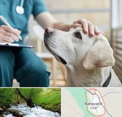کلینیک دامپزشکی در نهاوند