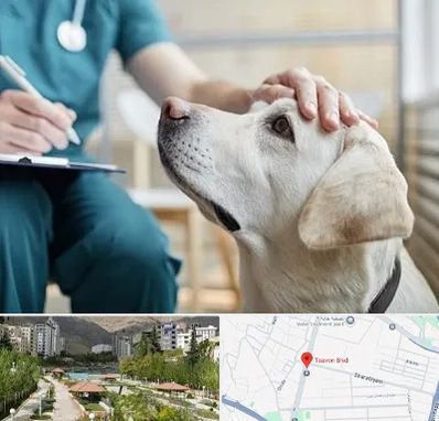 کلینیک دامپزشکی در بلوار تعاون