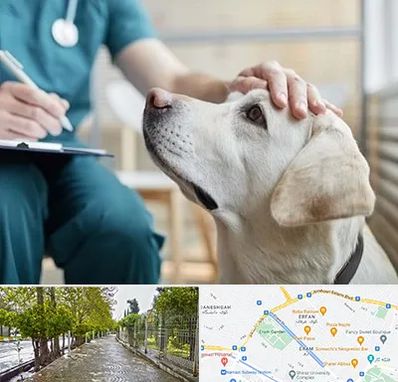 کلینیک دامپزشکی در خیابان ارم شیراز