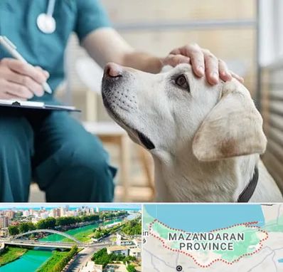 کلینیک دامپزشکی در مازندران