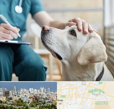 کلینیک دامپزشکی در شرق تهران