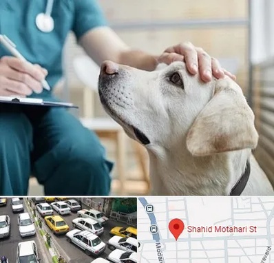 کلینیک دامپزشکی در مطهری تهران
