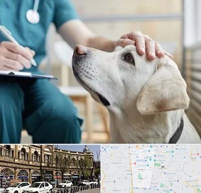 کلینیک دامپزشکی در منطقه 11 تهران