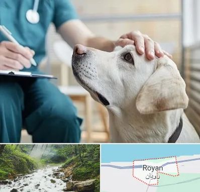 کلینیک دامپزشکی در رویان