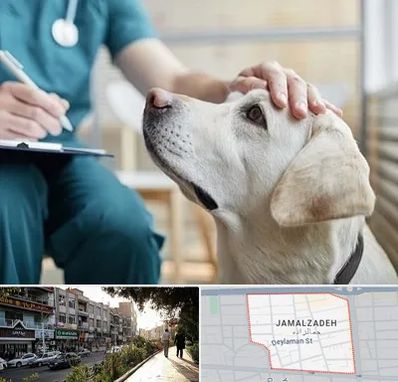 کلینیک دامپزشکی در خیابان جمالزاده