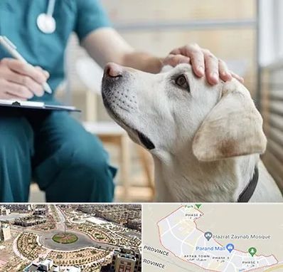 کلینیک دامپزشکی در پرند